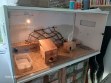 REPTIMANIA_0