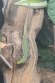 REPTIMANIA_0