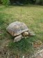REPTIMANIA_0