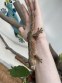 REPTIMANIA_0